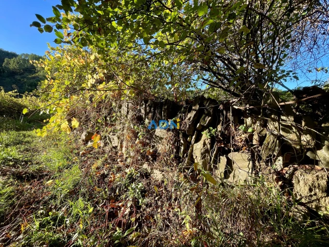 Terreno para Venda em Sarzedas Foto 20