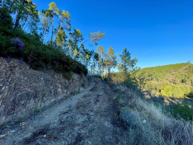Terreno para Venda em Sarzedas Foto 16