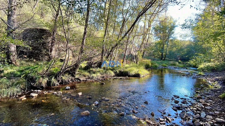 Terreno para Venda em Sarzedas Foto 3