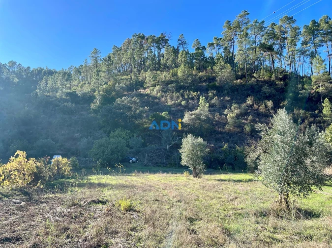 Terreno para Venda em Sarzedas Foto 13