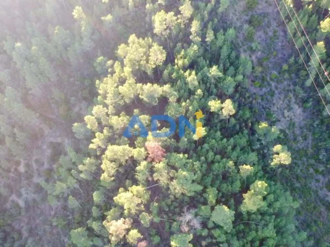 Terreno para Venda em Sarzedas Foto 11