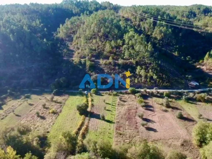 Terreno para Venda em Sarzedas Foto 10