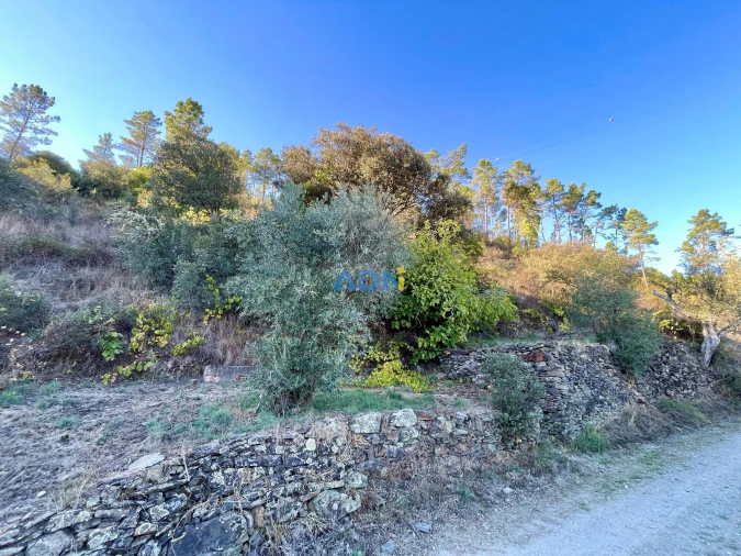 Terreno para Venda em Sarzedas Foto 28