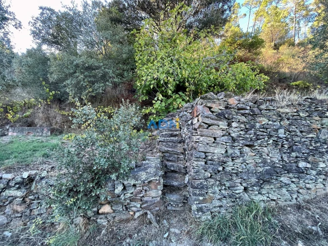 Terreno para Venda em Sarzedas Foto 25