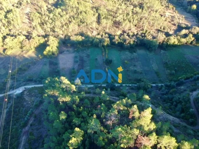 Terreno para Venda em Sarzedas Foto 12