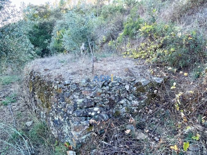Terreno para Venda em Sarzedas Foto 24