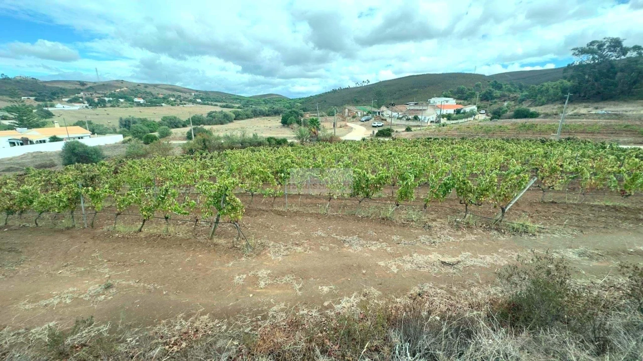 Terreno para Venda em Odiaxere Foto 11