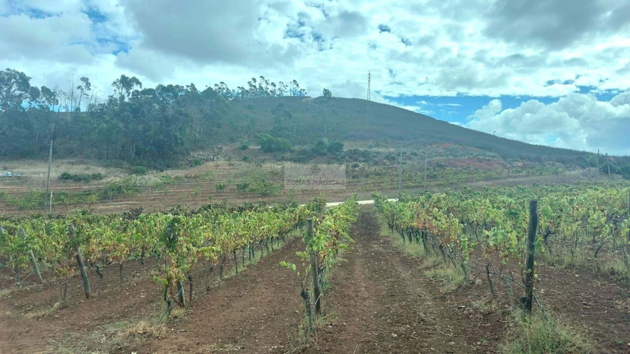 Terreno para Venda em Odiaxere Foto 13