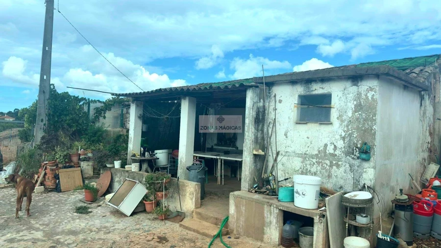 Terreno para Venda em Odiaxere Foto 3
