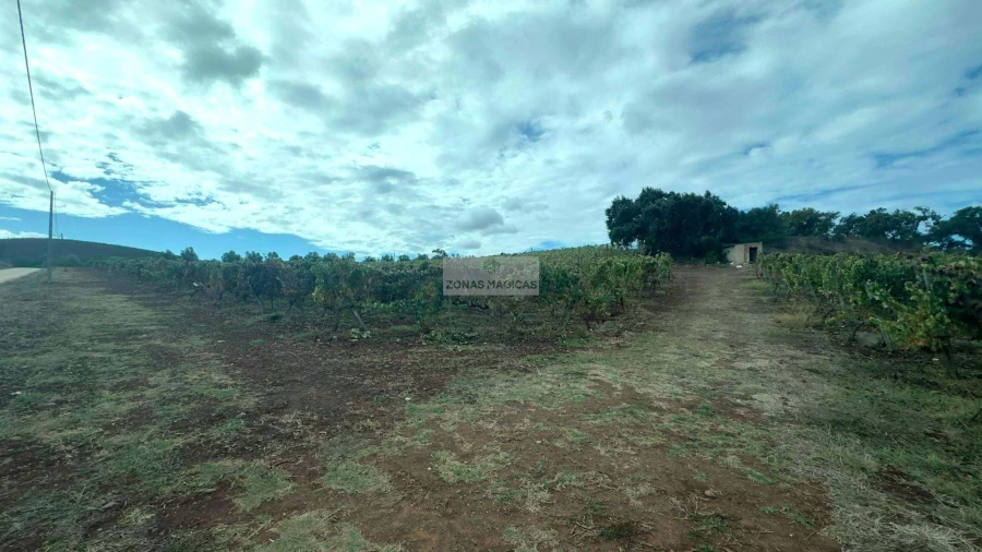 Terreno para Venda em Odiaxere Foto 5