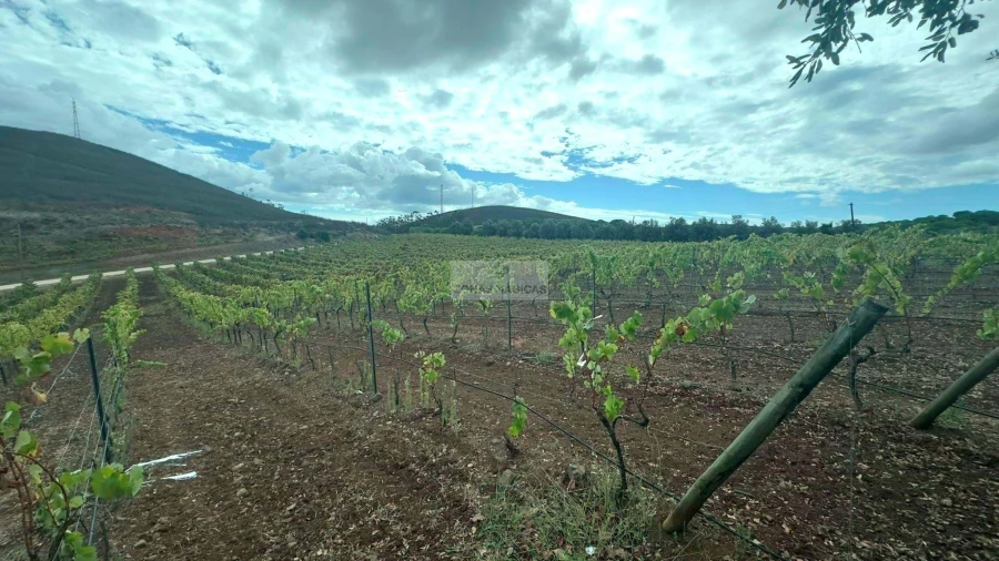 Terreno para Venda em Odiaxere Foto 6