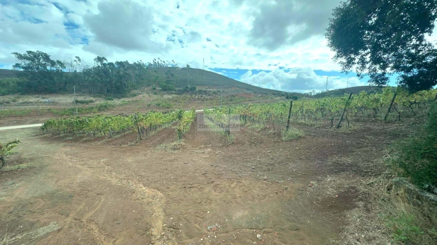 Terreno para Venda em Odiaxere Foto 12