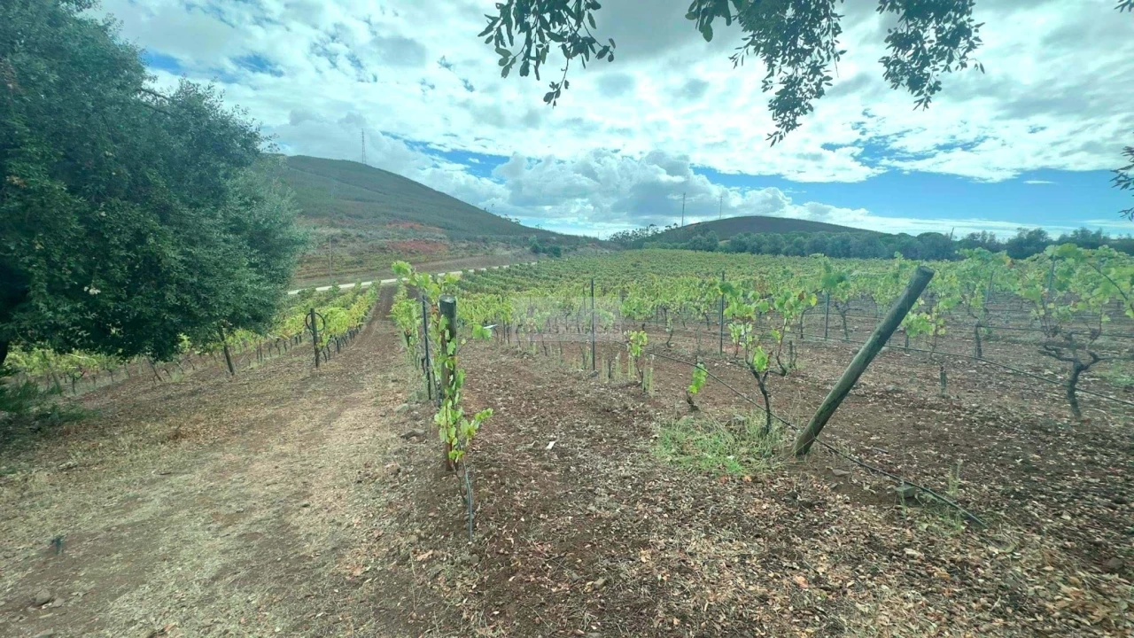 Terreno para Venda em Odiaxere Foto 7