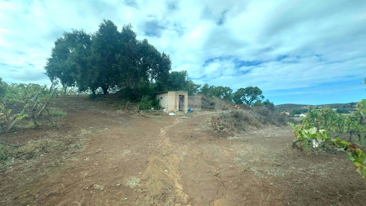 Terreno para Venda em Odiaxere Foto 8