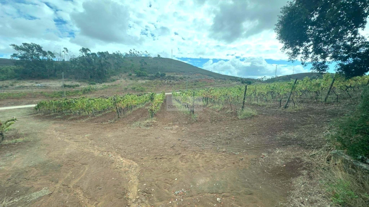 Terreno para Venda em Odiaxere Foto 12