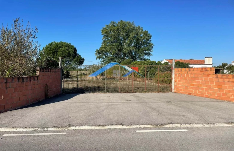 Quinta T4 para Venda em Branca Foto 10