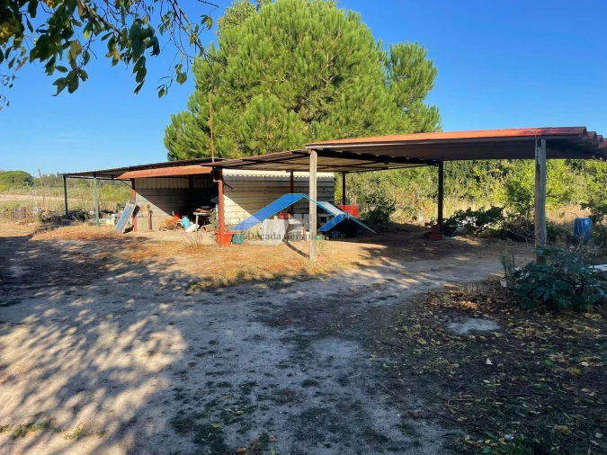 Quinta T4 para Venda em Branca Foto 12