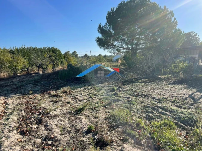 Quinta T4 para Venda em Branca Foto 15