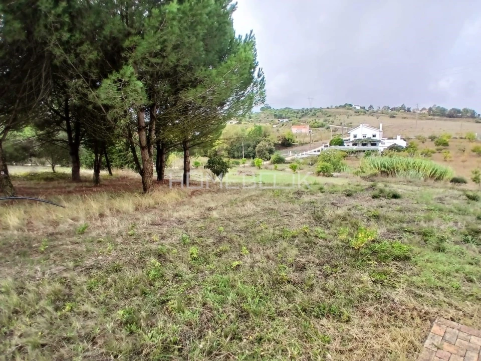 Quinta T7 para Venda em Vila Franca de Xira Foto 4