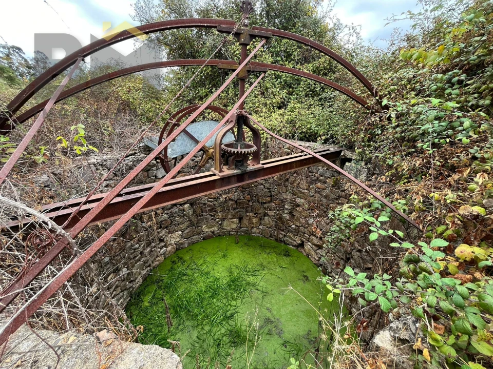 Quinta T0 para Venda em Monforte da Beira Foto 2