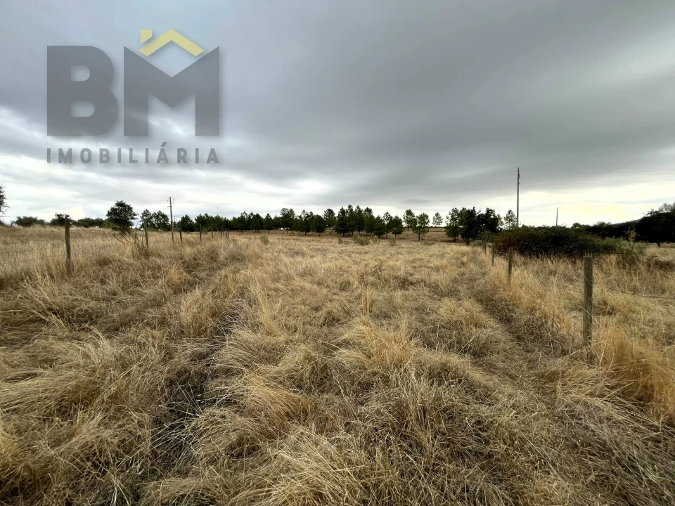 Quinta T0 para Venda em Monforte da Beira Foto 12