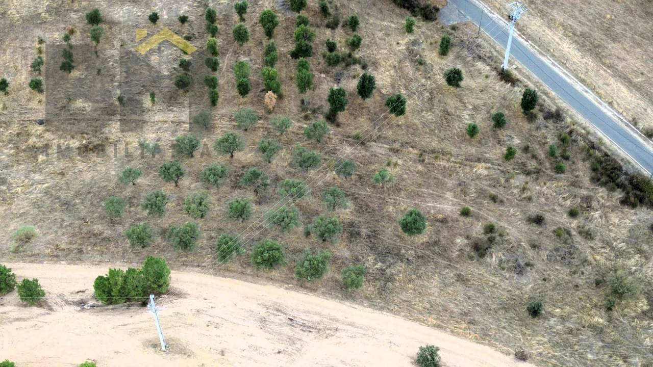 Quinta T0 para Venda em Monforte da Beira Foto 16