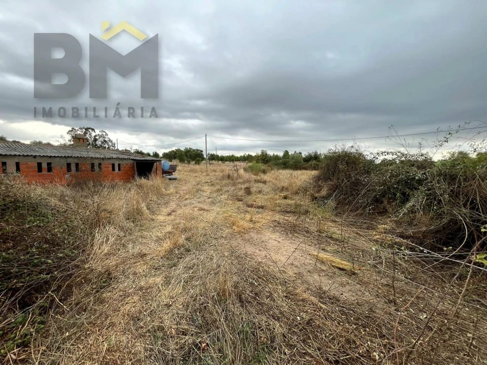 Quinta T0 para Venda em Monforte da Beira Foto 3