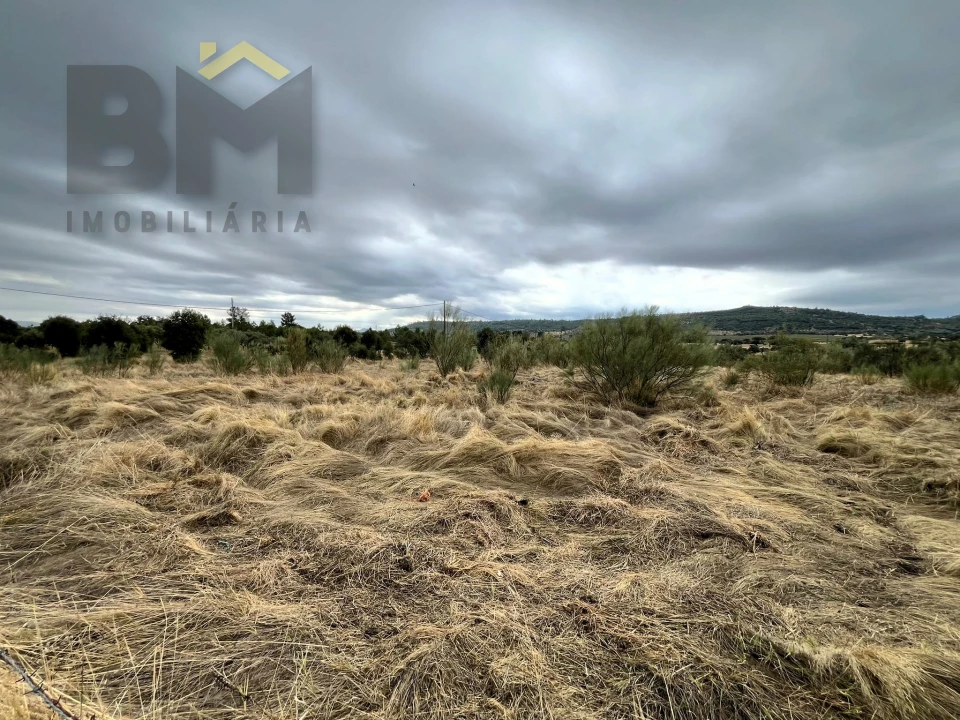 Quinta T0 para Venda em Monforte da Beira Foto 11