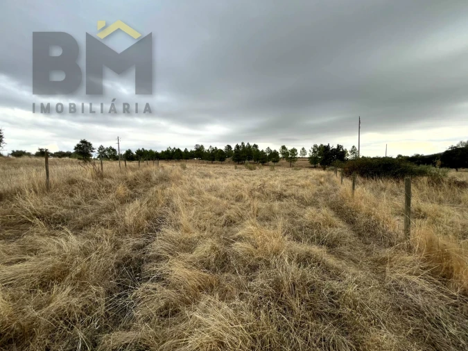 Quinta T0 para Venda em Monforte da Beira Foto 12