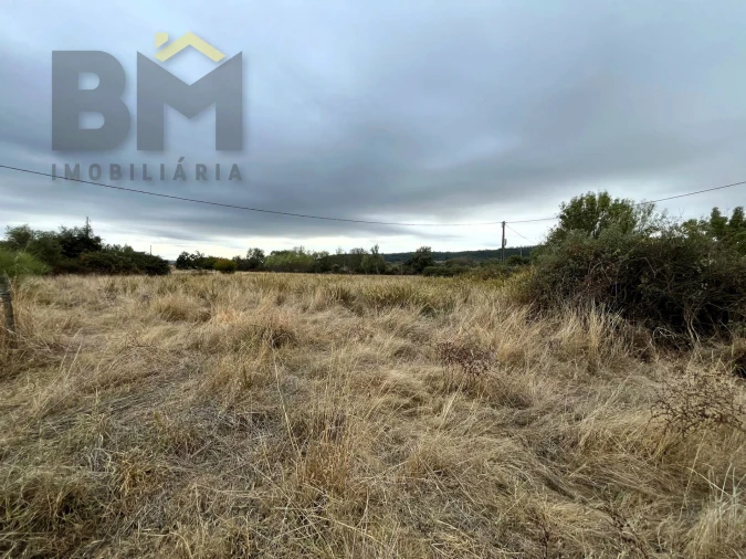 Quinta T0 para Venda em Monforte da Beira Foto 13