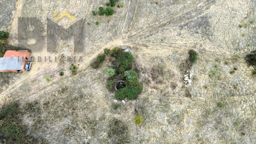 Quinta T0 para Venda em Monforte da Beira Foto 17