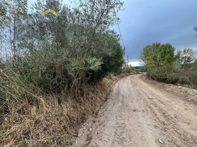 Quinta T0 para Venda em Monforte da Beira Foto 14