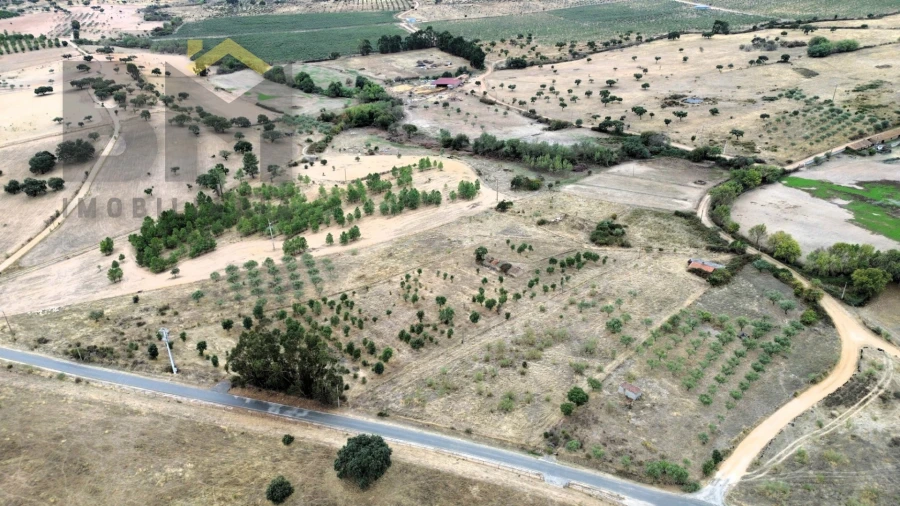 Quinta T0 para Venda em Monforte da Beira Foto 15