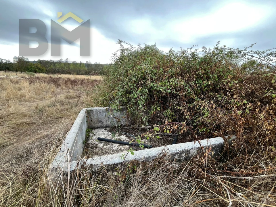 Quinta T0 para Venda em Monforte da Beira Foto 10