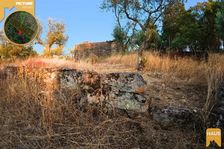 Terreno Agricola ou Rústico para Venda em Freixial e Juncal do Campo Foto 33
