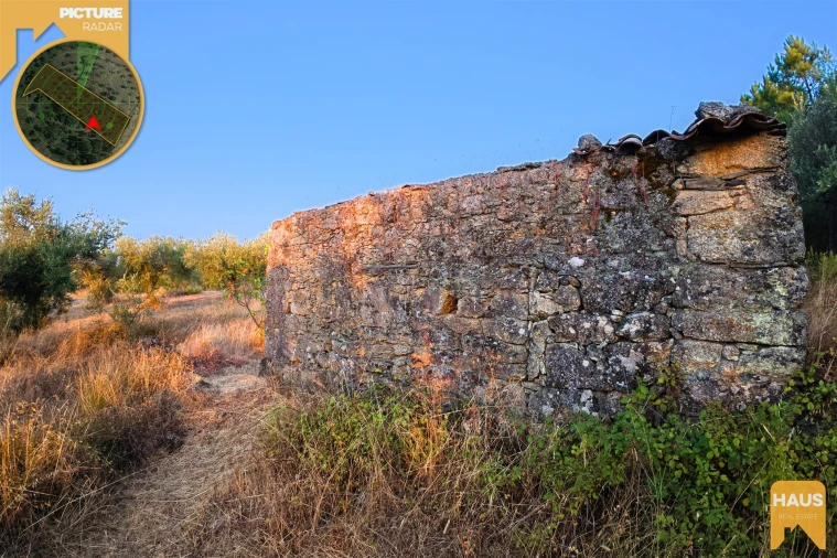 Terreno Agricola ou Rústico para Venda em Freixial e Juncal do Campo Foto 39