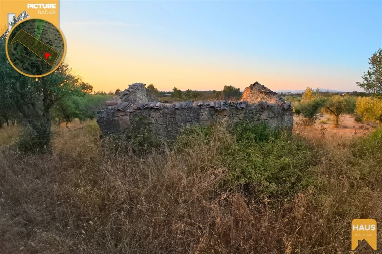Terreno Agricola ou Rústico para Venda em Freixial e Juncal do Campo Foto 26