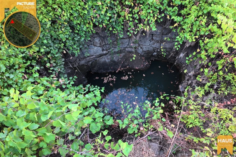 Terreno Agricola ou Rústico para Venda em Freixial e Juncal do Campo Foto 15