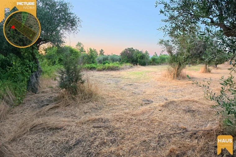 Terreno Agricola ou Rústico para Venda em Freixial e Juncal do Campo Foto 21