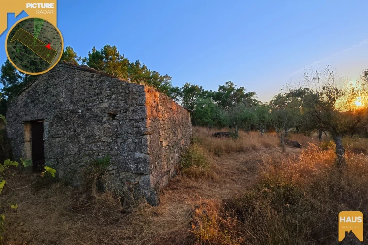 Terreno Agricola ou Rústico para Venda em Freixial e Juncal do Campo Foto 20