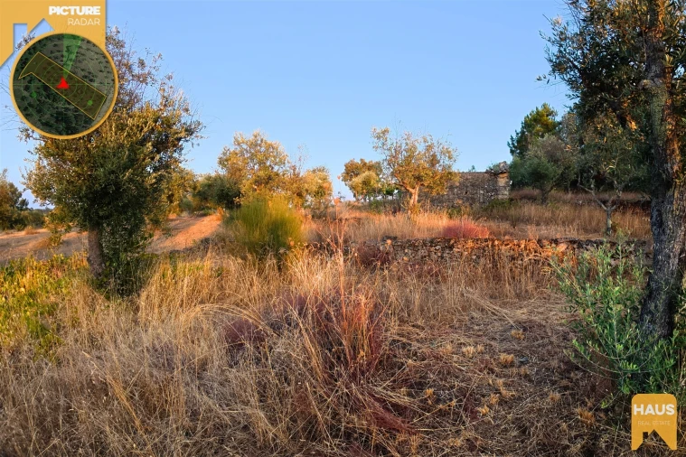 Terreno Agricola ou Rústico para Venda em Freixial e Juncal do Campo Foto 25