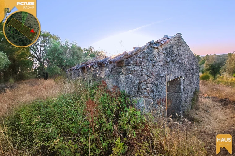 Terreno Agricola ou Rústico para Venda em Freixial e Juncal do Campo Foto 35