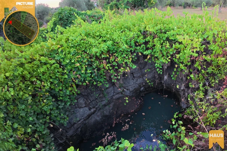 Terreno Agricola ou Rústico para Venda em Freixial e Juncal do Campo Foto 38