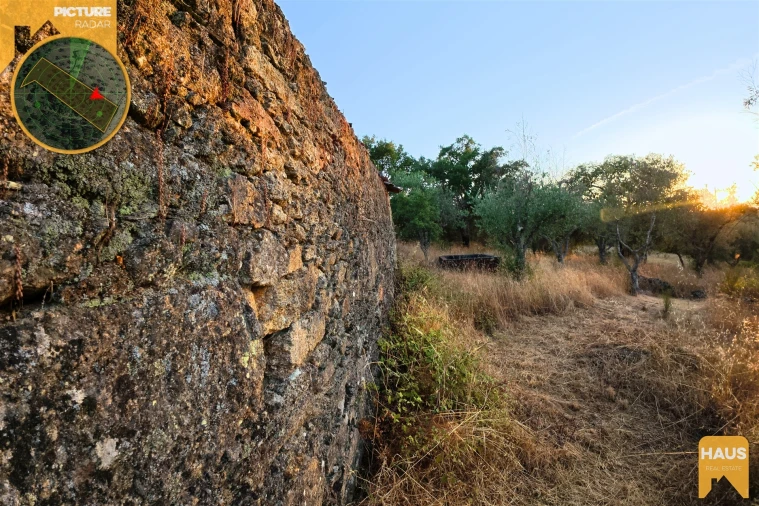 Terreno Agricola ou Rústico para Venda em Freixial e Juncal do Campo Foto 11