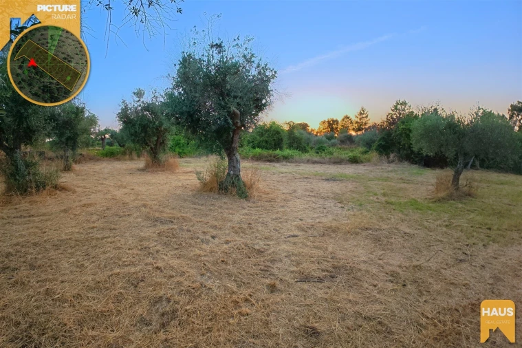 Terreno Agricola ou Rústico para Venda em Freixial e Juncal do Campo Foto 40