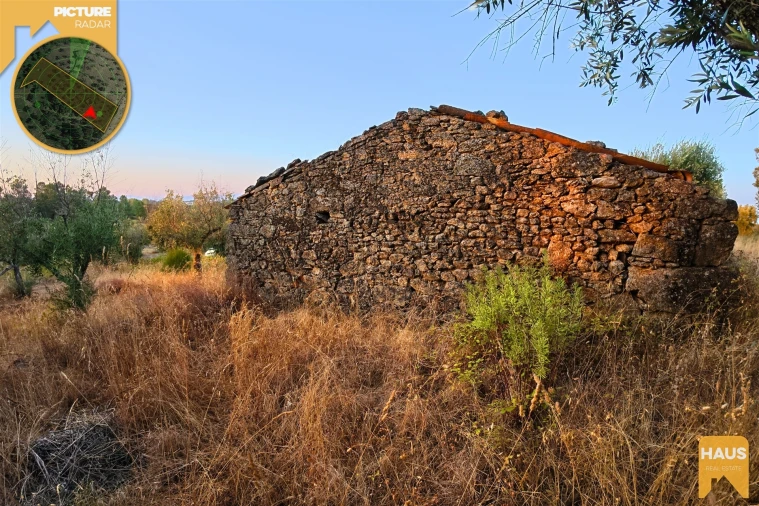 Terreno Agricola ou Rústico para Venda em Freixial e Juncal do Campo Foto 23