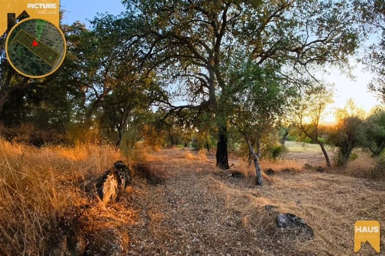 Terreno Agricola ou Rústico para Venda em Freixial e Juncal do Campo Foto 36