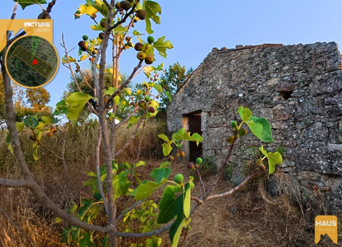 Terreno Agricola ou Rústico para Venda em Freixial e Juncal do Campo Foto 30