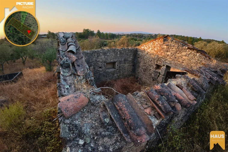 Terreno Agricola ou Rústico para Venda em Freixial e Juncal do Campo Foto 16