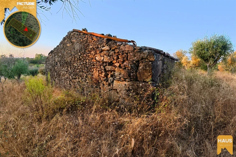 Terreno Agricola ou Rústico para Venda em Freixial e Juncal do Campo Foto 6
